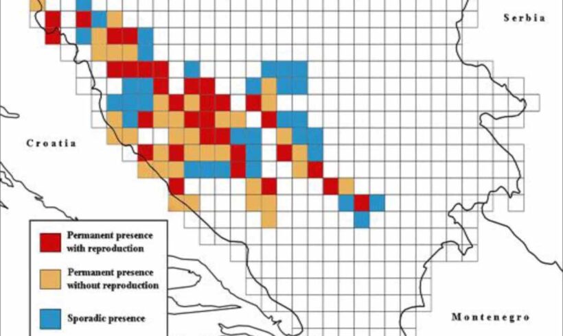 Distribucija Evroazijskog risa (Lynx lynx L., 1758) u Bosni i Hercegovini Distribucija Evroazijskog risa (Lynx lynx L., 1758) u Bosni i Hercegovini