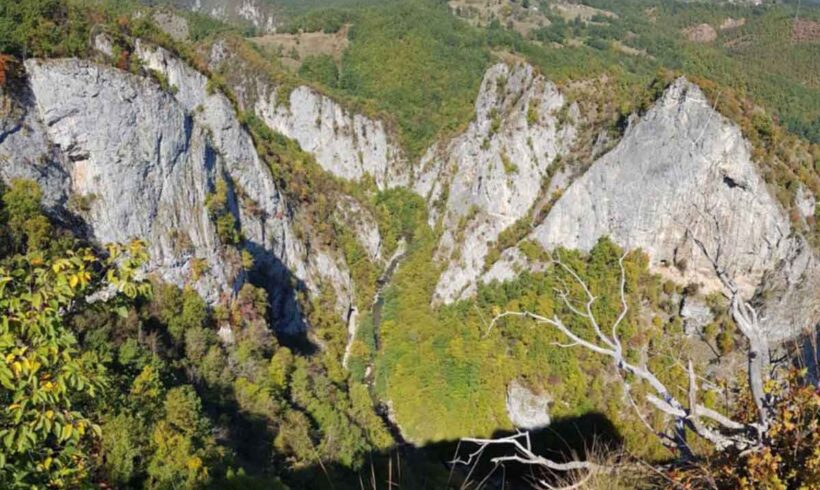 Fauna kanjona rijeke Prače sa posebnim osvrtom na ugrožene vrste Fauna kanjona rijeke Prače sa posebnim osvrtom na ugrožene vrste