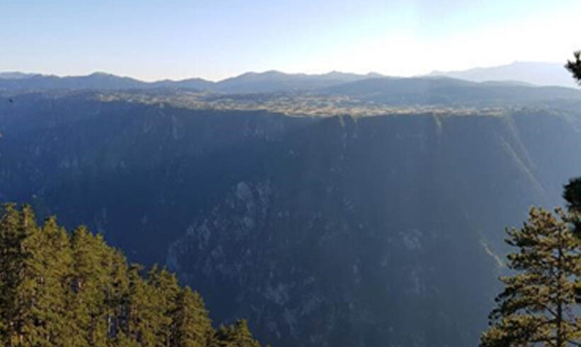 Fauna kanjona rijeke Tare sa posebnim osvrtom na ugrožene vrste Fauna kanjona rijeke Tare sa posebnim osvrtom na ugrožene vrste
