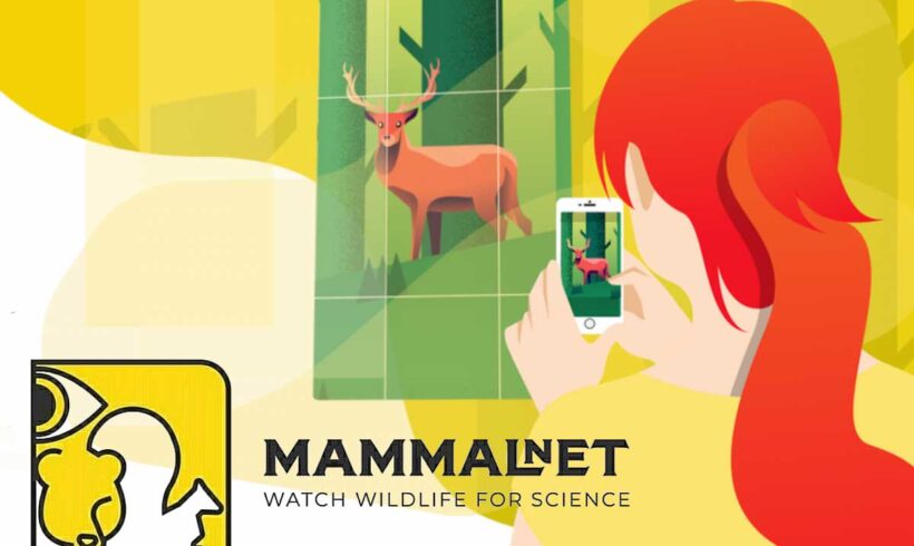 MammalNet: Prikupljanje podataka o divljim sisarima u BiH