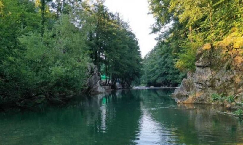 Pregled stanja faune sisara područja rijeke Rzav (Višegrad)