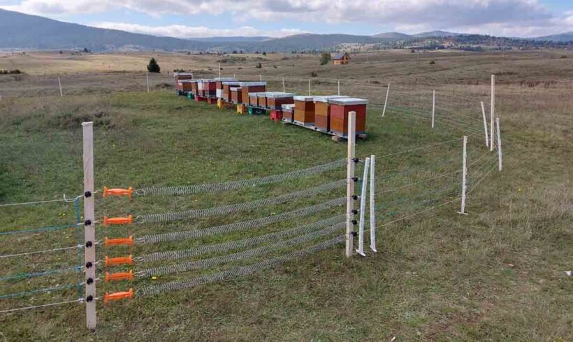 Coexistence of large carnivores and humans – conflict reduction in B&H