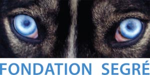 Logo_Fondation Segre