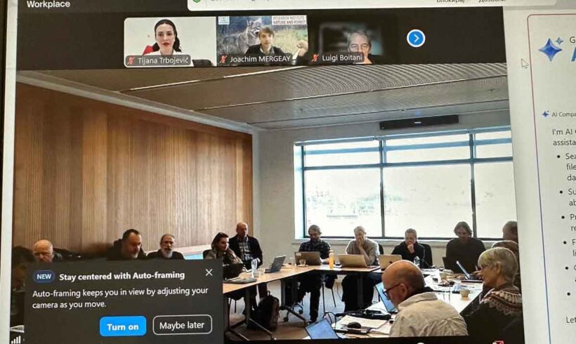 Radionica o efektivnim veličinama populacija velikih zvijeri Radionica o efektivnim veličinama populacija velikih zvijeri