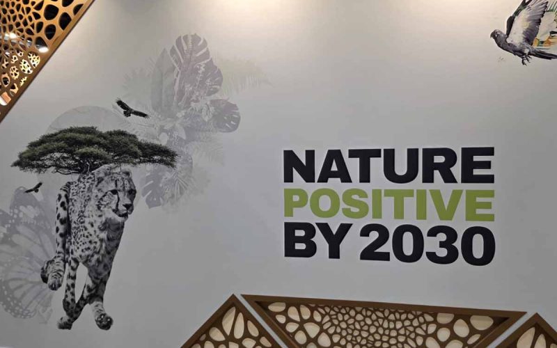 World Congress of the International Union for Conservation of Nature (IUCN) 04