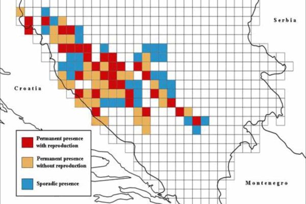 Distribucija risa u Bosni i Hercegovini od 2012-2017 godine