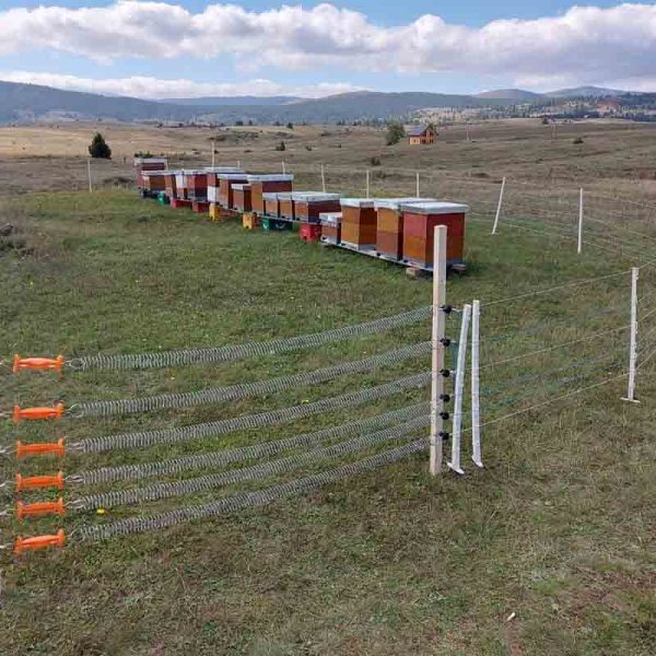 Protection of beehives