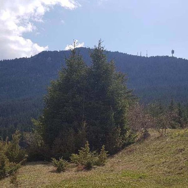 Slika 1. Sjeveroistočna strana planine Trebević, gledano iz sela Dovlići u Republici Srpskoj